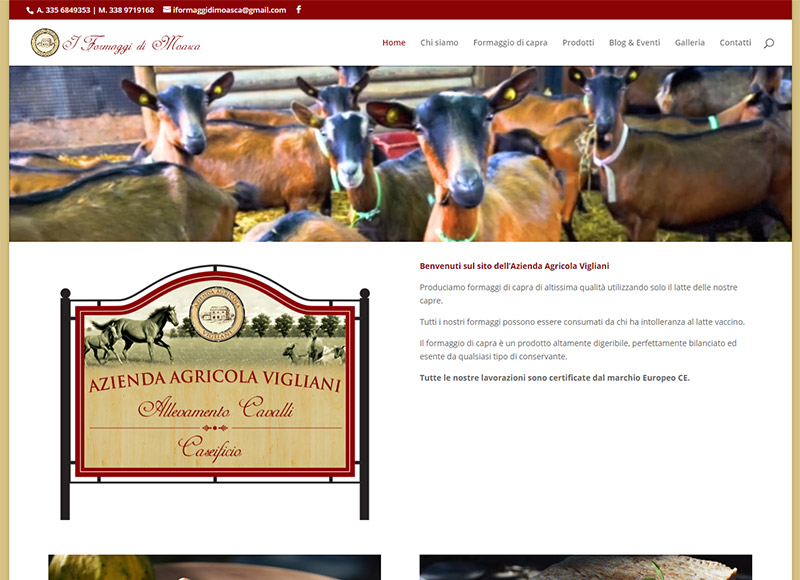 realizzazione sito web per azienda agricola