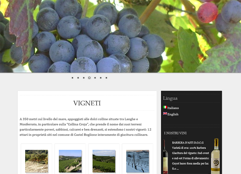 realizzazione sito web per azienda vitivinicola